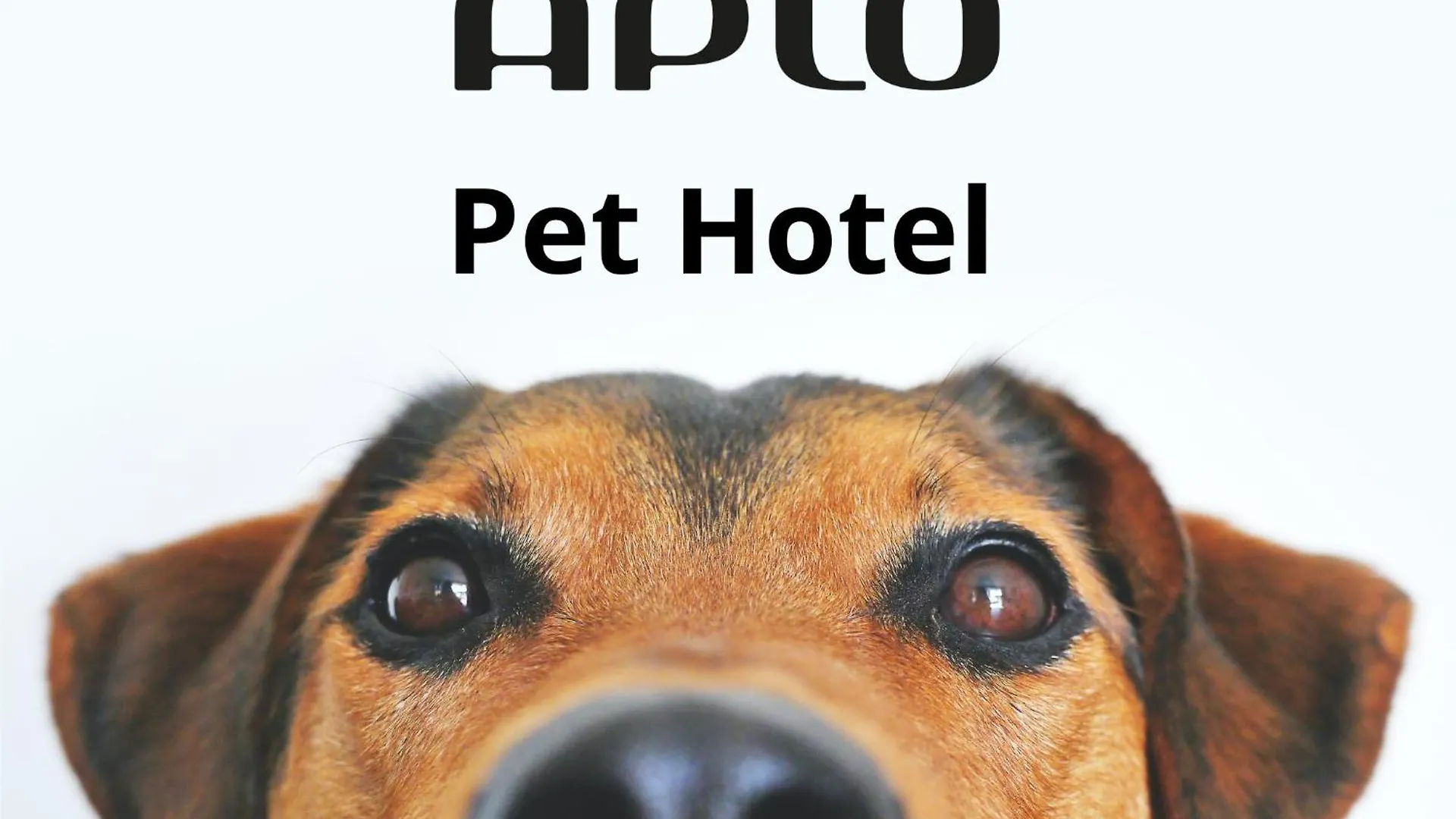 Hotel Aplo - Breakfast Experience Cervia 3*,  Italy